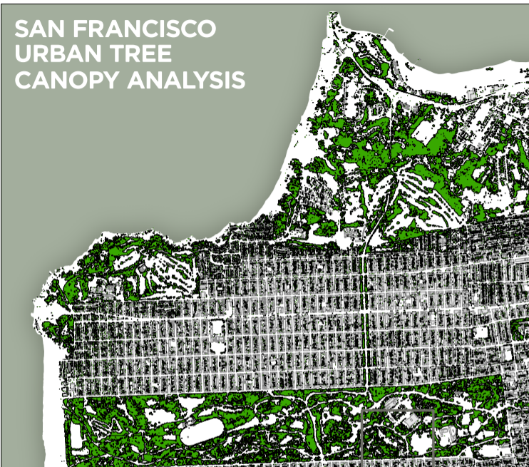 SF Urban Tree Canopy